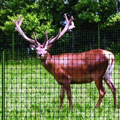 China High Quality Plastic Polypropylene Mesh Net Deer Anti Bird Poulty Fence for sale