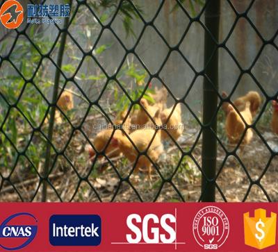 China Plastic Agriculture Netting For Keeping Chicken / For Poultry / Small Garden Fence for sale