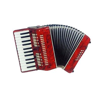 China Professional Accordion with ISO 9001 CASE 12 HARD BASS 47*30*50cm for sale