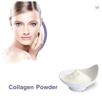 China Food Grade Fish Collagen Animal Based Protein Powder 90% Protein Content for sale