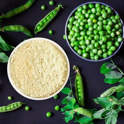 Chine Protéine de pois de poudre de protéine d'isolat de solubilité de hautes eaux 1 ans de durée de conservation à vendre