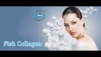 Chine 300d CACHER Marine Scale Fish Collagen Tripeptide à vendre