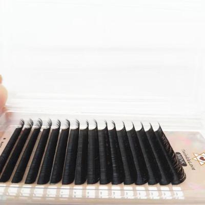 China Delicate Factory Supplied Volume Lashes Private Label Eyelash Extensions for sale