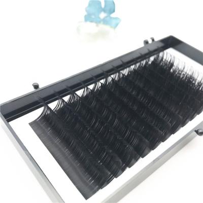 China Extremely Soft Professional Silk Eyelash Extensions Korean Private Label PBT Lash Extensions for sale