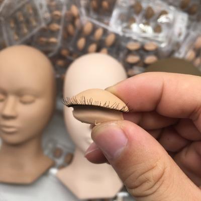 China Nature looking NEW STYLE! ! ! Advanced Training Re-usable Eyelids Lash Mannequin Heads With Eyelids for sale