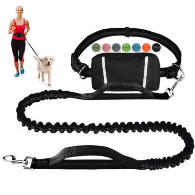 China Wholesale Luxury Metal Nylon Reflective Retractable Free Buckle Custom OEM Bungee Padded Dog Leash With Waist Bag for sale