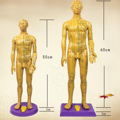 China Eco - Friendly Chinese Acupuncture Pattern Famale Body For Meridian And Extraordinary Points for sale