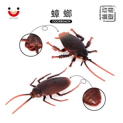 China Animal Models Wholesale Solid Cockroach Animal PVC Simulation Statue Model Figurines Toys for sale