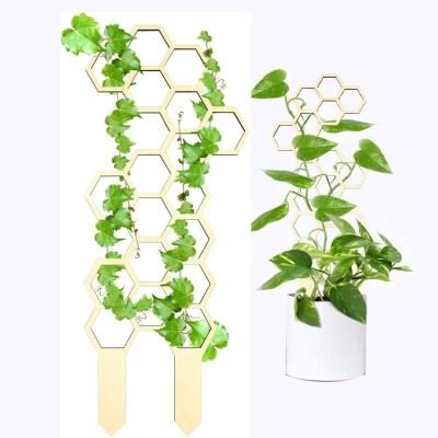 China Europe OEM Trellis For Wooden Support Climbing Rod Wooden Plant Trellis Rattan Flower Arrangement Plant Potted Grid Plants for sale