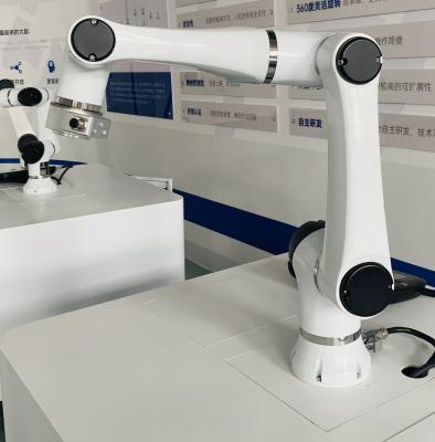 Cina 6 Axis Cooperative Robot Arm With Fixture System Reach 1000mm in vendita