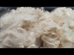 Aramid Fiber