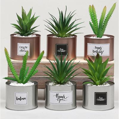 China Artificial plant high simulation DREA set of 3 pots succulents for desk table decoration shelf kitchen decor for sale