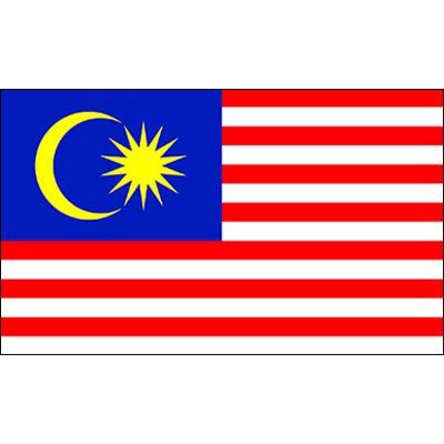 China Hanging Or Standing Huiyi Ready To Ship Country Flags Malaysia Wholesale National 3x5 Flag for sale