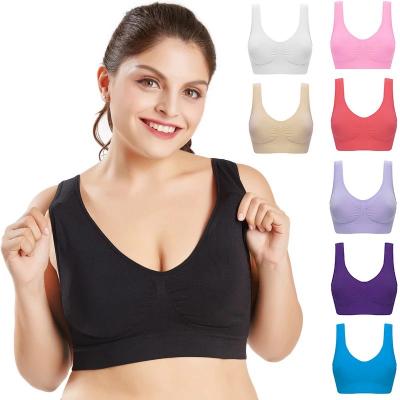 China Plus Size Antibacterial Bras For Women Seamless With Pads Big Size 5XL 6XL Bralette Push Up Wireless Bra Vest Bras for sale