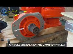 HYDRAULIC MOTOR