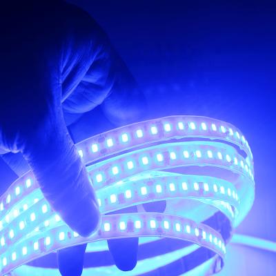 China Sports stadiums china shenzhen smd 2835 super bright warm white 50m 220v high voltage led strip lights for sale