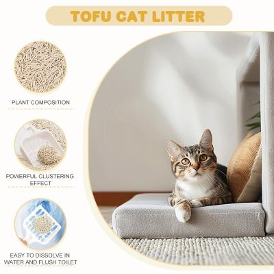 中国 OEM ODM 卸売 豆腐 猫のゴミ 快速集積 卸売 キティのゴミ 販売のため