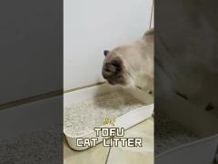 Tofu Cat Litter