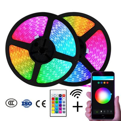 China Amazon Alexa Google Home Tuya Wifi Ip65 LED Strip Light Flexible Waterproof RGB LED Theme Park Light for sale