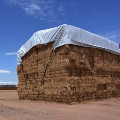 China New Farm 100% material red hay pe tarpaulin cover 150gsm sliver tarpaulin for sale