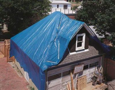 China Farm House Canopy Tarps Roll Custom Blue 150gsm Pe Tarpaulin For Canopy for sale