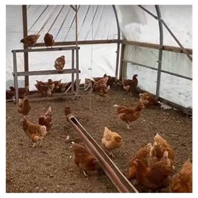 China Waterproof Ghana Cattle Farm Dairy Farm Chicken House Dairy Ranch Roller Shutter Livestock House For Chicken Side Curtains for sale