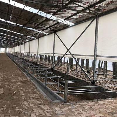 China Selling Egypt Poultry Plastic Greenhouse Waterproof PE Waterproof Warm Curtains for Breeding House for Ventilation Fence Pigsty Farm for sale