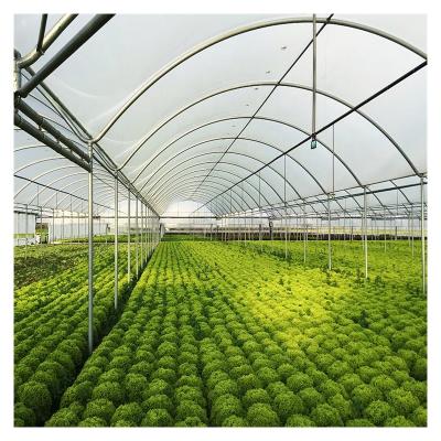 China Foshan Agriculture Greenhouse Waterproof Film Woven PE Greenhouse Solarium Plastic Canopy For Vegetables Planting Greenhouse Film for sale