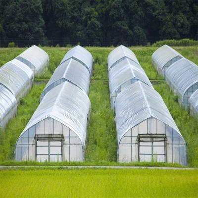 China Transparent Application Flower Home Garden Planting Waterproof Greenhouse Film Strong Light Transmittance Hot Selling for sale