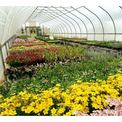 China Waterproof clear transparent pe tarpaulin UV resistant 100gsm greenhouse flower production for flower planting greenhouse film for sale