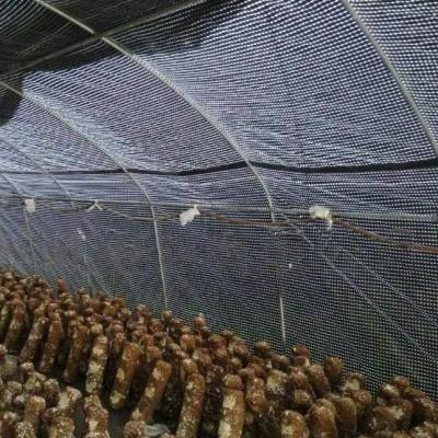 China Farm Mushrooms Planting Black And White Plastic Woven Fabric Tarpaulin Cover 15%Light Transmittance PE Tarpaulin for sale