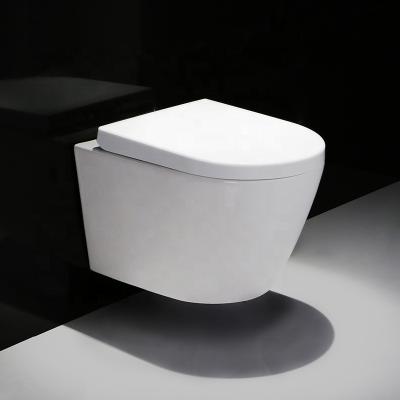 China Concealed High End European Standard Ceramic Two Piece Cistern Wall Hung Toilet From China for sale