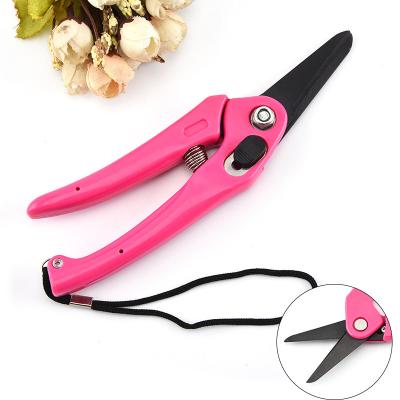 China Anti-Slip Handle Black Blade Shears Fruit Garden Tools Tree Garden Scissors Art Shears Trimming Garden Pruning Scissors for sale