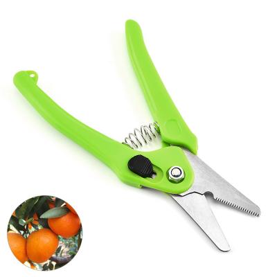 China Green Handle Stainless Steel Scissors Customizable Logo Colors Anti-skid Branch Gardening Fine Shears Picking Fruit Clippers for sale