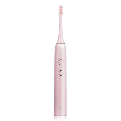 China Adult Models IPX7 Waterproof 4-Function Modes USB Charging Sonic Electric Toothbrush for sale