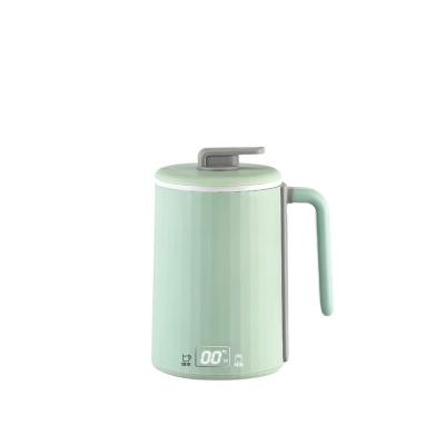 China Keep Warm Travel Kettle Insulation Electric Temperature Control Portable Electric Kettle for sale