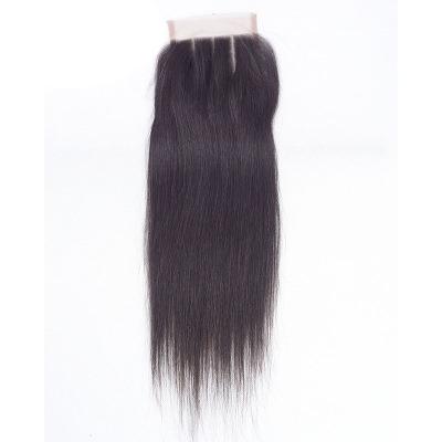 China 100% Brazilian Virgin Hair 100% Human Straight Hair Bundles With Closure for sale