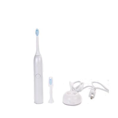 China Wholesale OEM Rechargeable Toothbrush Blister Adult Electric Toothbrush Manufacturer for sale