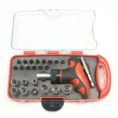 China Easy Carry Ratchet 24pcs y Type Screwdriver Bit Grip Tool Bits Set In Plastic Tool Case for sale