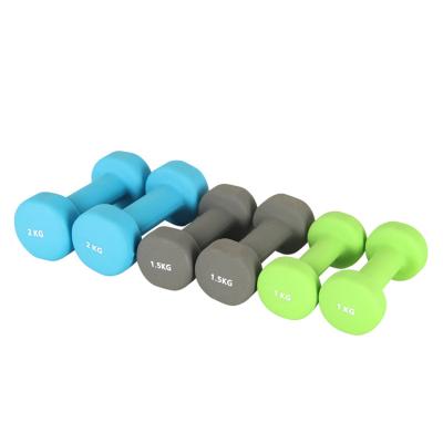 China Weightlifting Factory Supply Wholesale Plastic Dip Dumbbell Sets With Case For Household And Commercial Gyms for sale