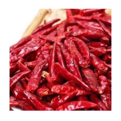 China 2021 New Production Dry Dry Candy Dried Red Chili Pepper for sale