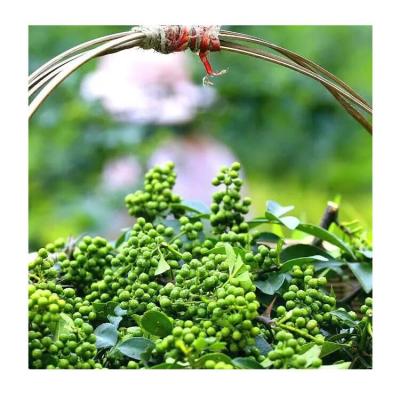 China 2021 New Arrival Dry Organic Green Sichuan Pepper From China for sale