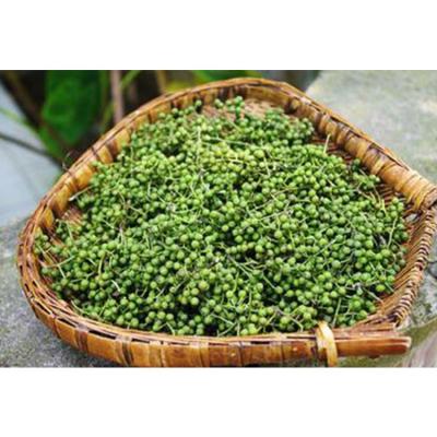 China Dry Wholesale Green Sichuan Pepper Granule For Making Oil Powder for sale