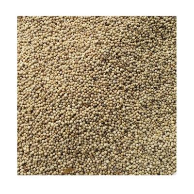 China China factory direct sale dry dried new crop white pepper for sale