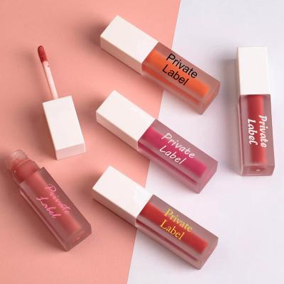 China New next cosmetics waterproof matte lipstick no brand logo private label dye set lip gloss seller lip gloss for sale