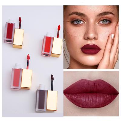 China China Shenzhen AONUO Waterproof Long Lasting Moisture Silky Lip Gloss Make Your Own Liquid Lipstick for sale