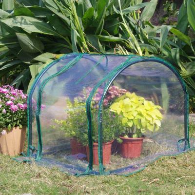 China Easily Assembled 4 Layer Greenhouse PVC Coating With Foldable Roller Shutter Zipper Door Greenhouse for sale