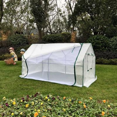 China Easily Assembled High Quality Mini Greenhouse Greenhouse For Small Plants for sale