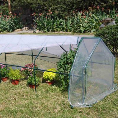 China High Quality Garden Greenhouse Hothouse Flower and Plant Display Easily Assembled Hot Gardening Outdoor Tools for sale