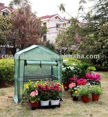 China Easily Assembled PE Mini Display Greenhouse for sale